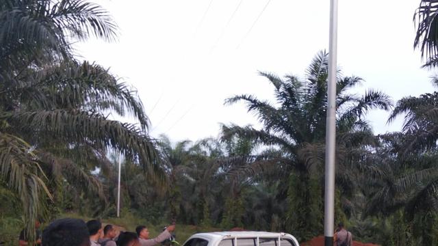 PT SRM Laporkan Belasan WNA China ke Polda Kalbar Terkait Aset Tambang Rusak Saat Insiden TNI Diserang