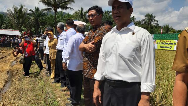 Pacu Produksi Padi Mentan Amran Galakkan Mekanisasi Dan Pertanian Organik Di Morowali Bisnis Liputan6 Com