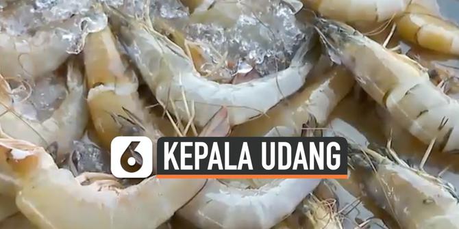 Hoax atau Bukan: Manfaat pada Kepala Udang