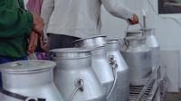 Kegiatan Para Peternak KSG di Milk Collection Center (MCC). (dok. Greenfields)