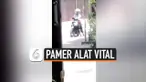 PAMER ALAT VITAL