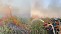 Kebakaran Way Kambas Belum Padam, Api Muncul Lagi