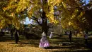 Mengenakan pakaian tradisional Hanbok dan berfoto di bawah pohon gingko dengan dedaunan musim gugur di halaman Istana Gyeongbokgung, Seoul menjadi pengalaman tersendiri bagi wisatawan. (ANTHONY WALLACE/AFP)