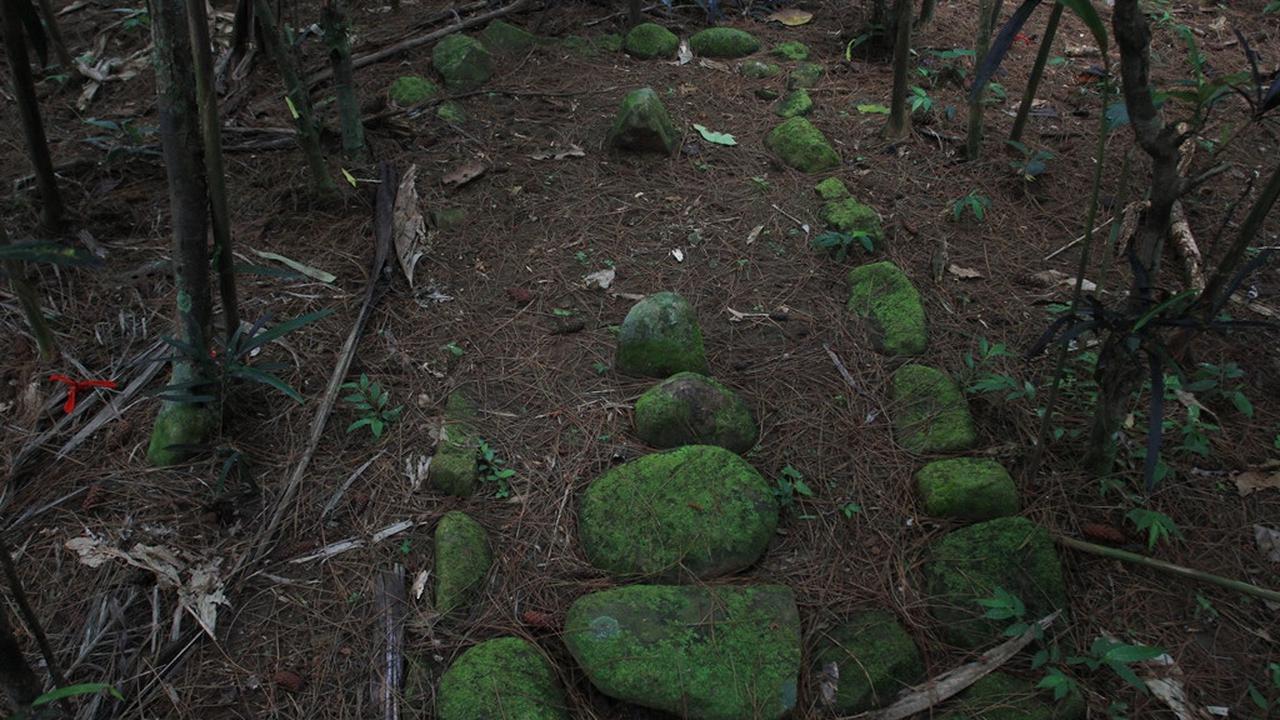 Makam tua di kawasan hutan pangkuan Desa Karangreja, Cipari, Cilacap, Jawa Tengah. (Foto: Liputan6.com/Muhamad Ridlo)