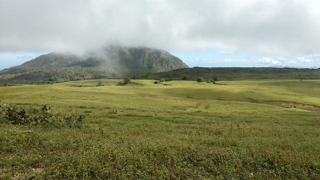 Fulan Fehan, hamparan perbukitan yang menyajikan pemandangan eksotik berupa padang savana hijau di NTT. Liputan6.com/Maulandy
