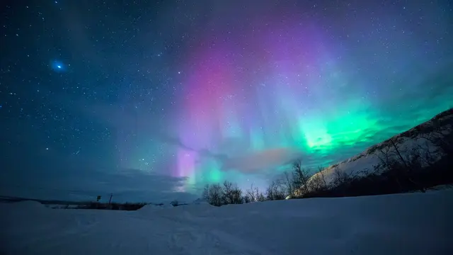Cahaya Utara (Aurora)