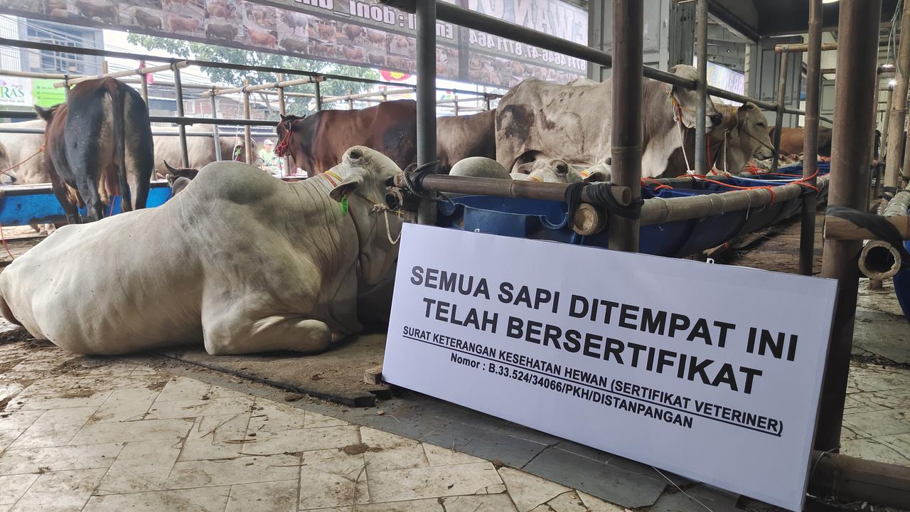 Sejumlah hewan kurban yang berada di Mall Qurban H Doni, Kecamatan Cimanggis, Kota Depok. (Liputan6.com/Dicky Agung   Prihanto)