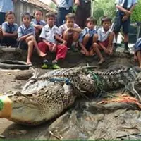 Buaya disiksa di Bekasi | Foto : facebook