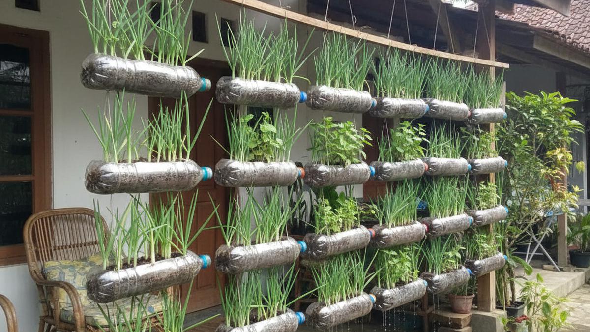Cara Membuat Kebun Bawang Daun dari Botol Plastik Gantung untuk Dapur Modern