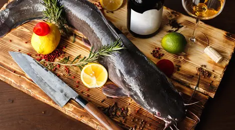 7 Arti Mimpi Ikan Lele Yang Membawa Pertanda Baik - Lifestyle Fimela.com