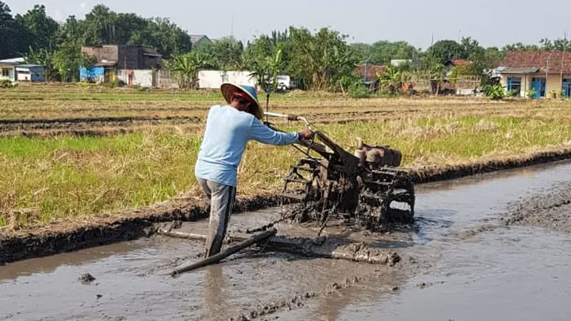 Lampung Selatan Segera Punya Perda Lahan Pertanian dan Pangan Berkelanjutan