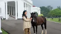 Kahiyang Ayu juga terlihat berpose dengan kuda yang merupakan koleksi dari Istana Bogor. (Foto: instagram.com/bennusorumba)