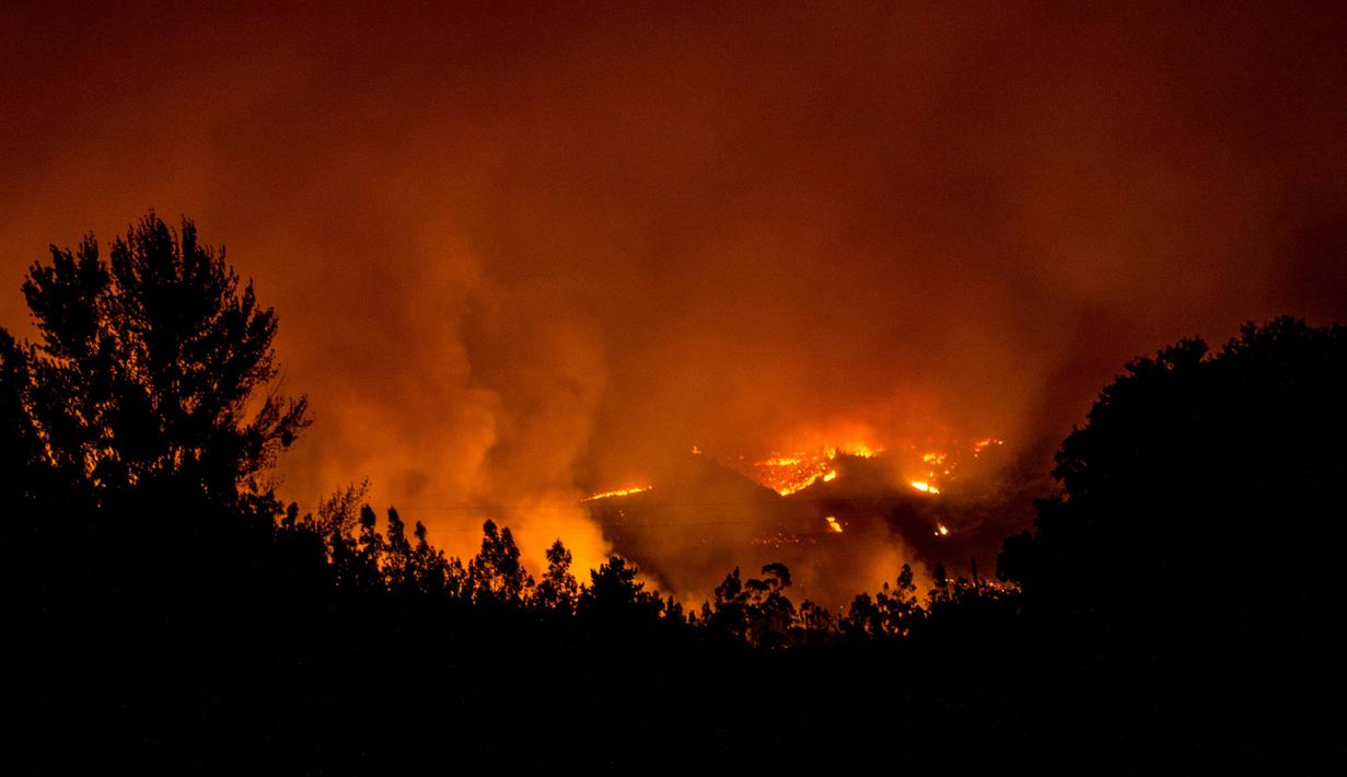 Pandangan udara saat kobaran api melahap hutan di wilayah Santiago, Chile (20/1). Presiden Michelle Bachelet mengatakan kebakaran ini terbesar dalam sejarah Chile. (AFP Photo/Martin Bernetti)