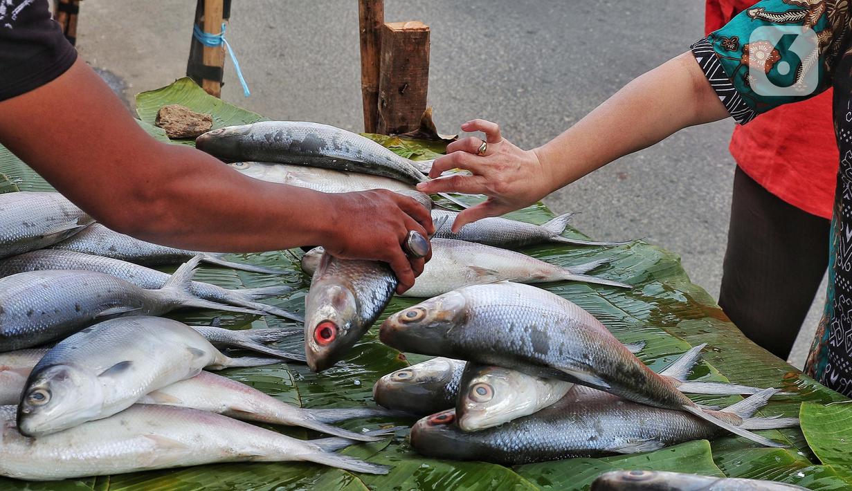 Pedagang ikan bandeng melayani pembeli di Rawa Belong, Jakarta, Jumat (20/1/2023). Penjual bandeng musiman ini menjual daganganya jelang perayaan Imlek yang dijual dengan harga mulai dari Rp. 50.000 hingga Rp. 90.000 per kilonya. (Liputan6.com/Angga Yuniar)