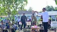 Presiden Jokowi bersama masyarakat Kota Kupang melaksanakan kegiatan tanam pohon di Jalan El Tari, Kota Kupang, NTT, Rabu (6/12/2023). (Foto: Muchlis Jr - Biro Pers Sekretariat Presiden)