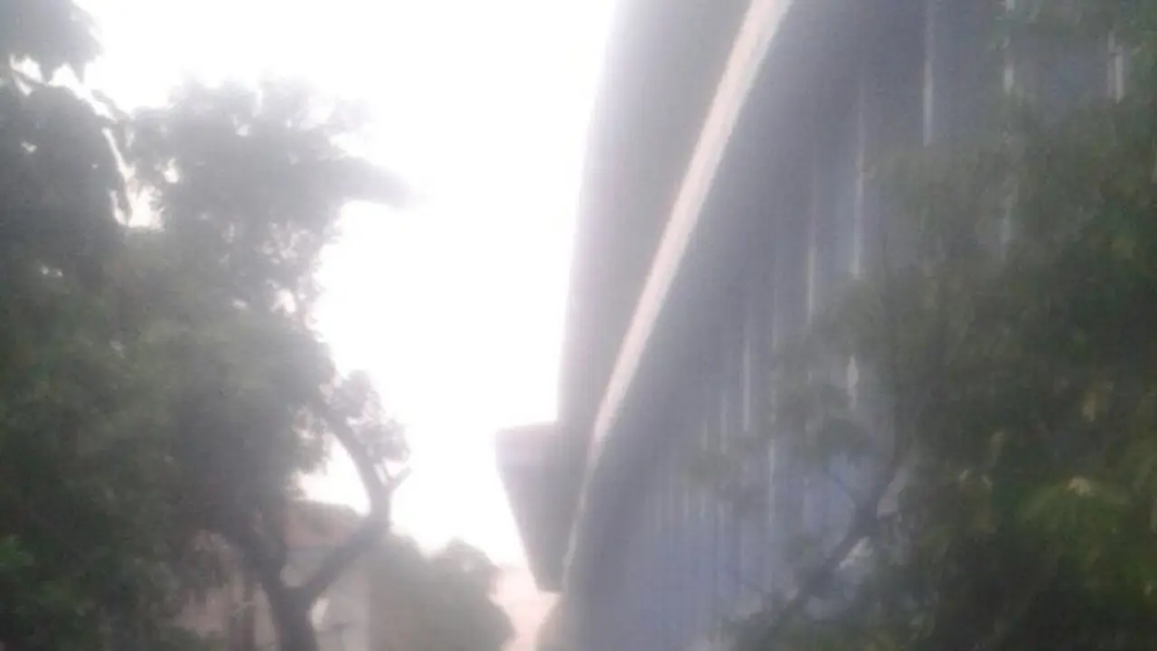 Pohon tumbang akibat hujan di Jakarta
