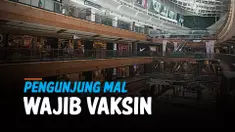 vertical mal