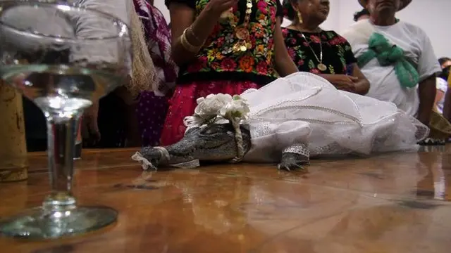 Menikahi Buaya