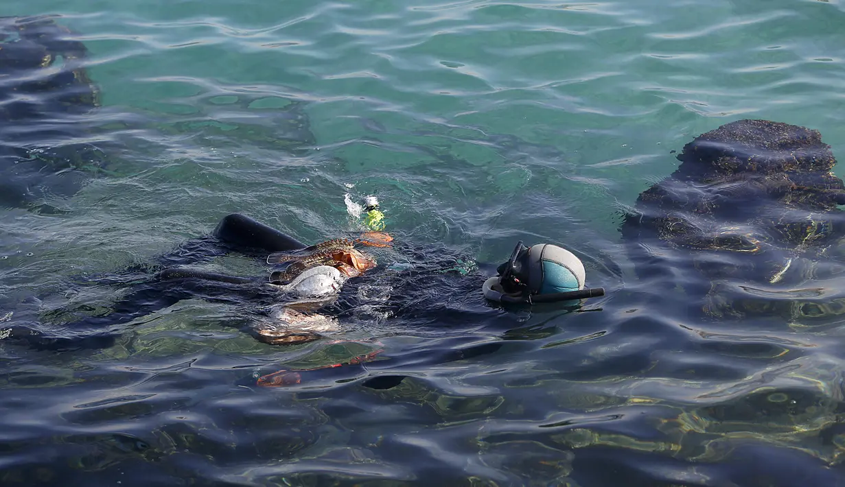 Salem Abu Amerah menyelam berusaha menangkap ikan untuk membantu keluarganya di laut di pelabuhan  Kota Gaza (20/12/2019). Salem Abu Amerah menjual ikan di pasar dan menghasilkan sekitar $ 15 per pekerjaan hari.  (AP Photo/Hatem Moussa)