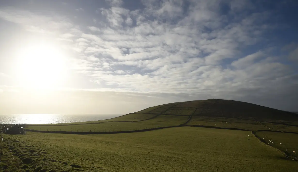 Hamparan padang rumput yang luas di Slea Head di Ventry, Irlandia, Selasa (27/12). Irlandia mendapat julukan Pulau Zamrud karena memiliki pemandangan alam yang hijau terang. (REUTERS / Clodagh Kilcoyne)