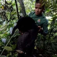 Mengunggah foto beruang madu terbunuh dengan luka di leher, pria ini diburu pihak berwajib  |foto : facebook