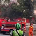 Kronologi Kabel Terbakar hingga Merambat ke Pohon di Cinere Depok