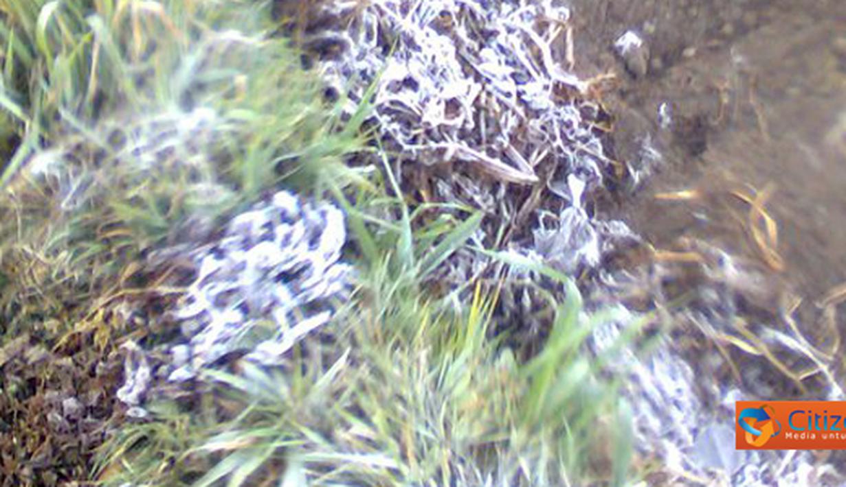 Citizen6, Wonosobo: Ternyata cuaca Dieng hingga enam sampai tujuh derajat. Cuaca tersebut tidak wajar karena pada bulan-bulan ini cuaca Dieng seharusnya kemarau. (Pengirim: Aryo Seno Sulistyo Putro)