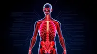 5 Fungsi Sistem Hormon dan Metabolisme serta Dampak Jika Keseimbangannya Terganggu