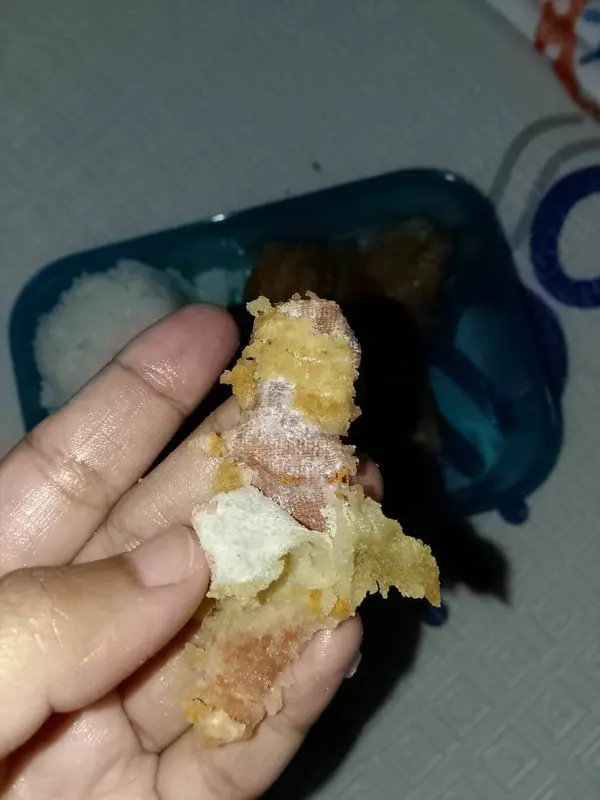 Viral Temuan Plester Bekas dalam Menu MBG di SD Sukabumi. (istimewa)