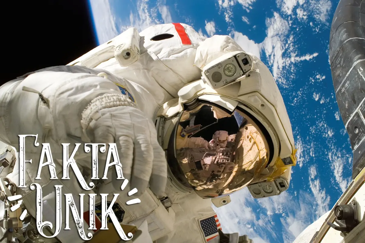 [Bintang] Fakta Unik