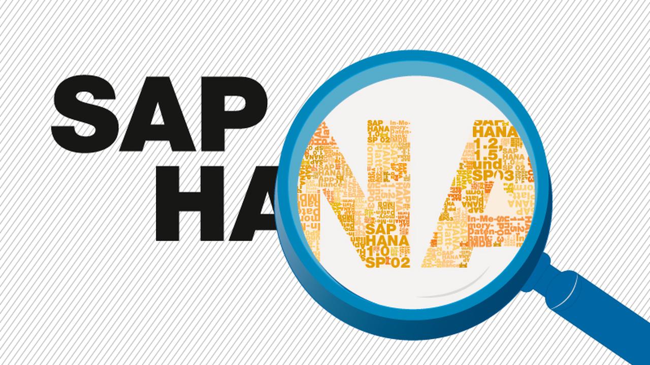 Dorong Pertumbuhan, Infosys Gandeng SAP