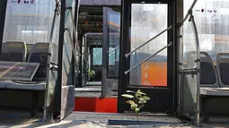 Kondisi bangkai bus Transjakarta yang mangkrak di terminal Pulogadung, Jakarta, Jumat (23/8/2019). Menurut petugas, sebanyak 36 bus transjakarta yang sudah terparkir sejak Oktober 2017 tersebut berada dalam kondisi rusak dan tidak terawat. (Liputan6.com/Herman Zakharia)