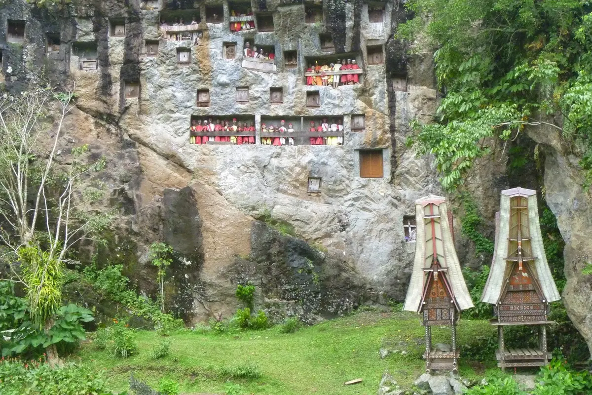 [Bintang] Toraja