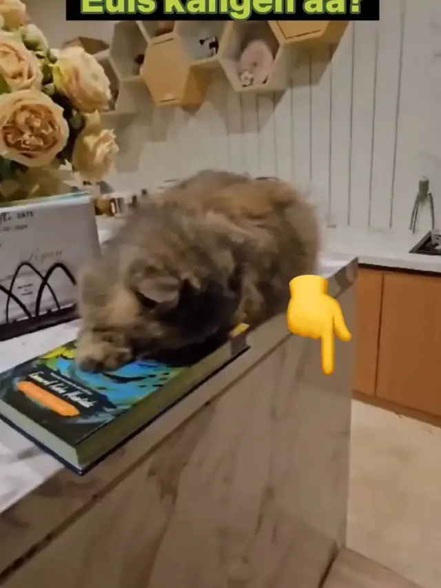 Potret dapur rumah Ridwan Kamil (Sumber: Instagram/@ataliapr)