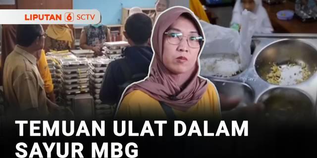 Temuan Ulat dalam Sayur MBG