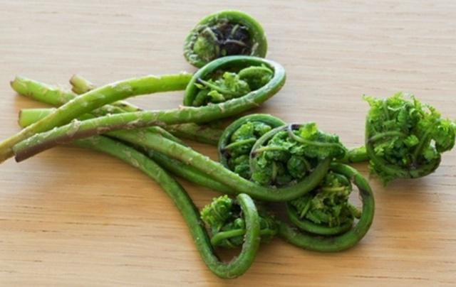 Daun pakis | Photo: Copyright Thinkstockphotos.com 