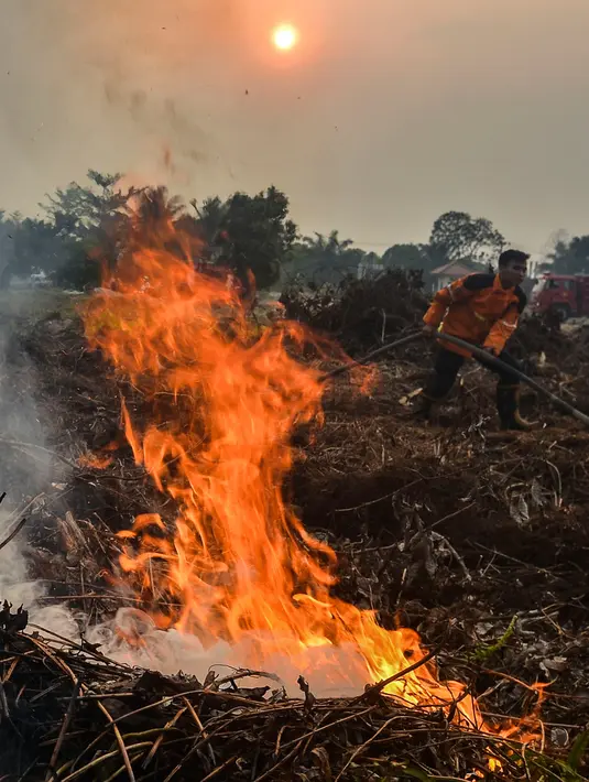 Petugas berusaha memadamkan kebakaran lahan gambut di Kecamatan Siak Hulu, Kabupaten Kampar, Riau, Senin (9/9/2019). Sulitnya sumber air di lokasi kebakaran menjadi kendala petugas untuk memadamkan bara api yang menghanguskan sedikitya lima hektare lahan gambut di kawasan tersebut. (Wahyudi / AFP)