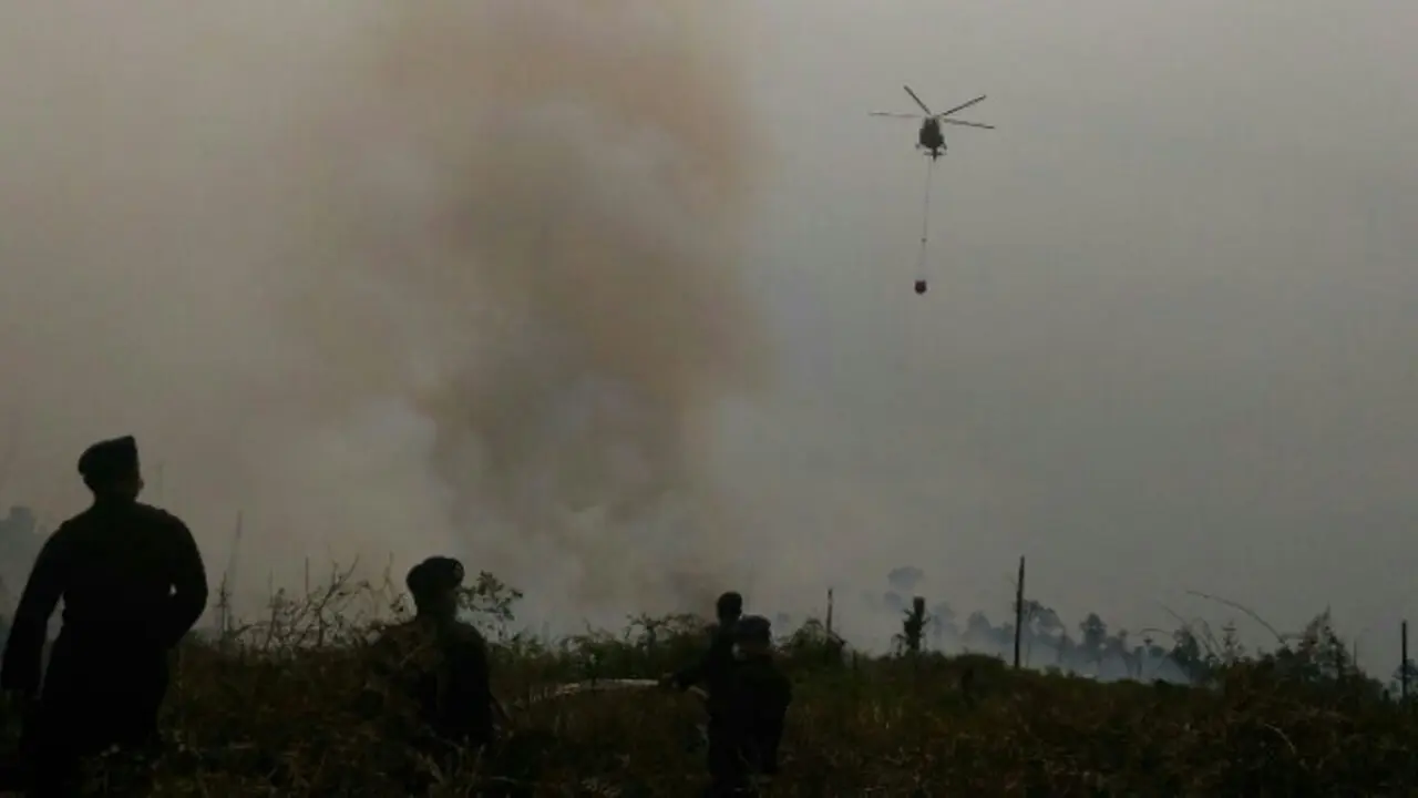kebakaran hutan riau