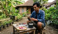 Cara Stek Alpukat dengan Bawang Merah agar Cepat Tumbuh, Ini Langkah-Langkahnya