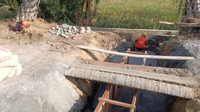 Genjot Produksi Pertanian, Kementan Optimasi Lahan Rawa 500 Hektar di Aceh Utara