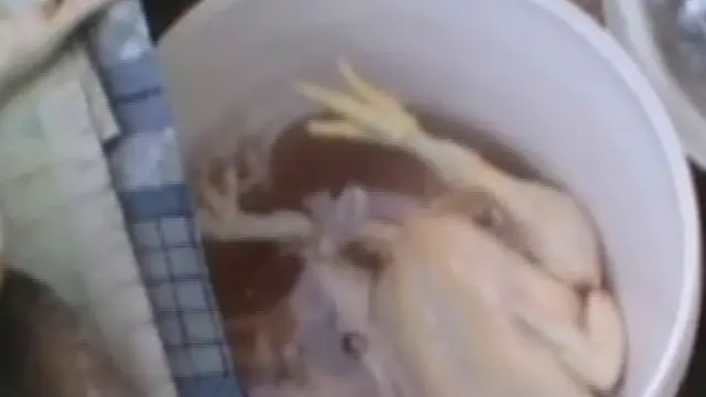 [VIDEO] Awas! Daging Suntikan Beredar