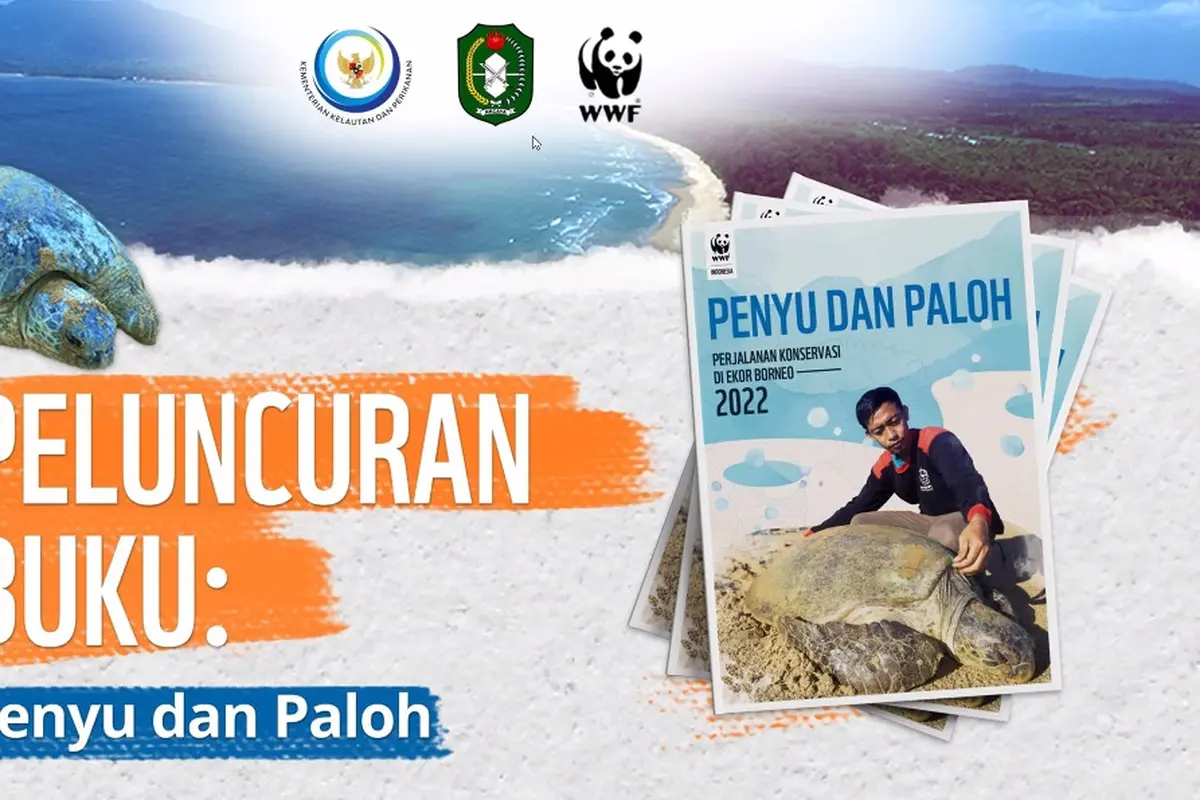 Buku Rangkum Suka Duka Perjalanan Konservasi Penyu di Ekor Borneo