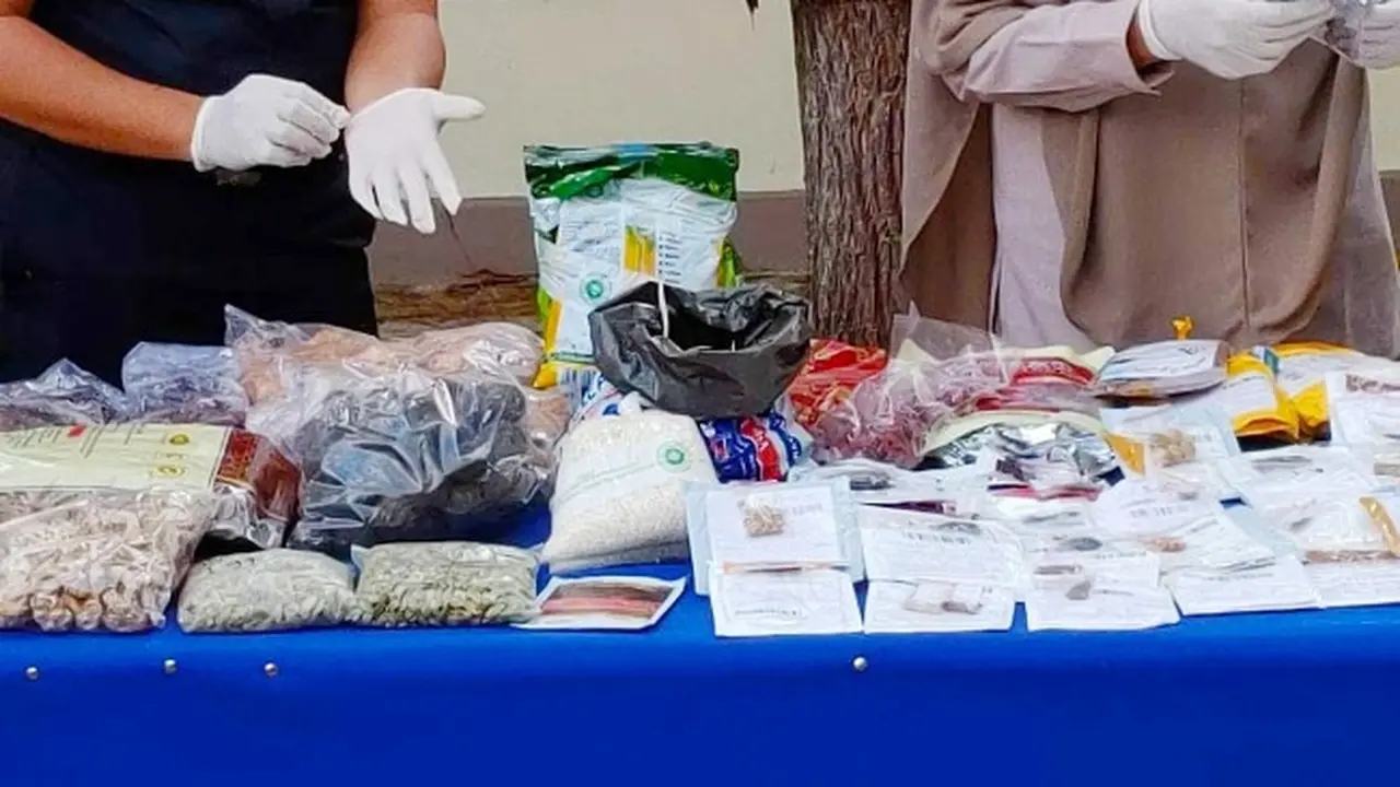 Benih tanaman hias dan komoditas pertanian lainnya dari luar negeri yang disita petugas selama pandemi Covid-19.