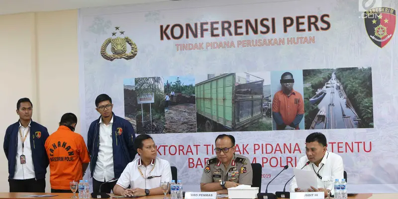 Dalang Pembalakan Liar Hutan Jambi dan Sumsel Dibekuk