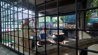 Proses memasak bubur pedas di Masjid Raya Al-Mashun Medan
