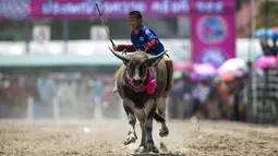 Seorang joki sedang berlomba dalam festival balap kerbau Chonburi, di Provinsi Chonburi, Thailand, (26/10/2015). (Reuters/Athit Perawongmetha)
