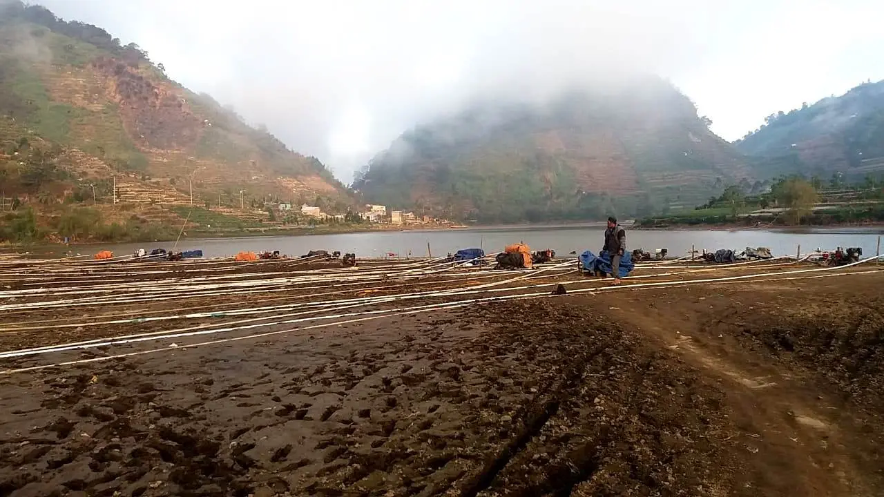 Puluhan mesin sedot air berjejer mengalirkan air Telaga Cebong, ke lahan pertanian warga Dieng, Jawa Tengah. (Foto: Liputan6.com/Muhamad Ridlo)