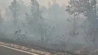 Kebakaran Hutan Kalimantan, Kemenkes Minta Warga Waspada ISPA