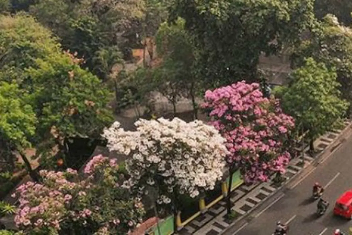 (Foto: Instagram @Surabaya)