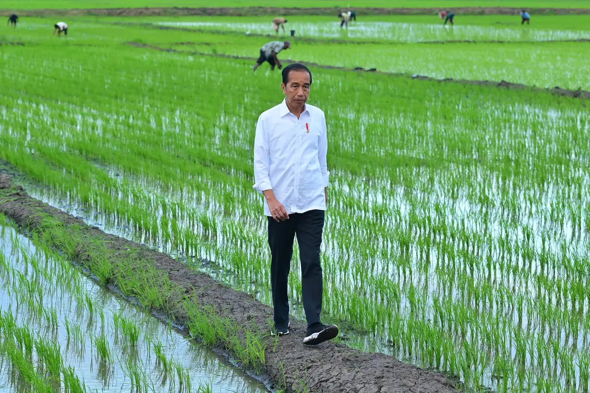 Presiden Joko Widodo (Jokowi) mengunjungi Desa Telaga Sari, Distrik Kurik, Kabupaten Merauke, Provinsi Papua Selatan, Selasa, 23 Juli 2024. (Foto: Muchlis Jr - Biro Pers Sekretariat Presiden)